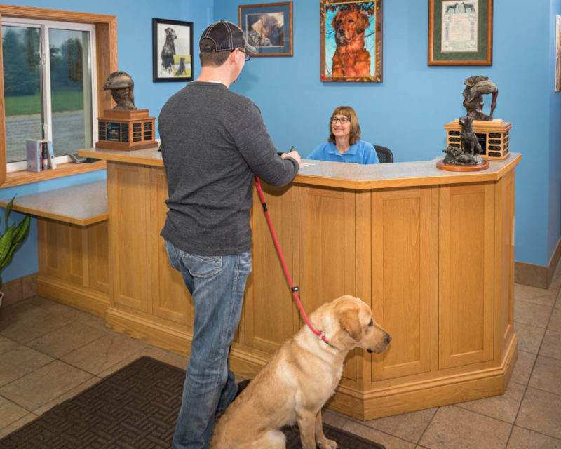 Minnesota Dog Boarding & Kennel Old Oak Retrievers