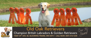 Old Oak Retrievers Dog Training & Boarding near Minneapolis, MN