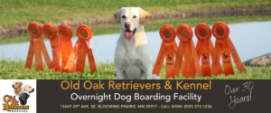 Old Oak Retrievers Dog Training & Boarding near Minneapolis, MN